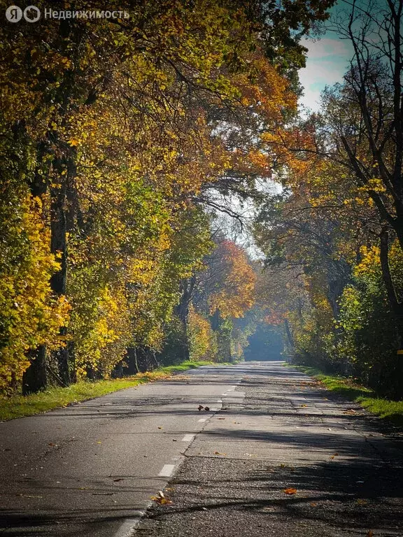 Участок в Краснодарский край, городской округ Сочи, село ... - Фото 0