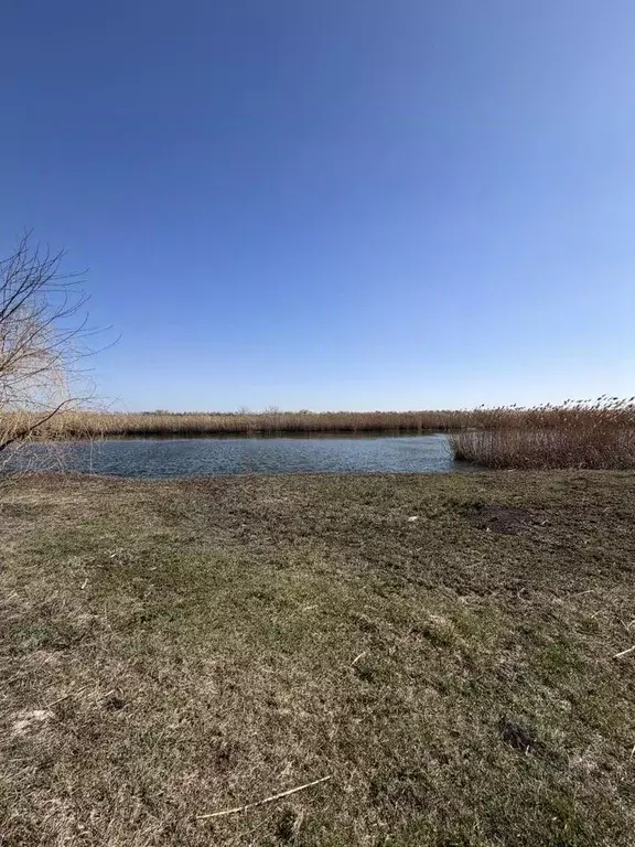 Участок в Краснодарский край, Тимашевский район, Медведовское с/пос, ... - Фото 1