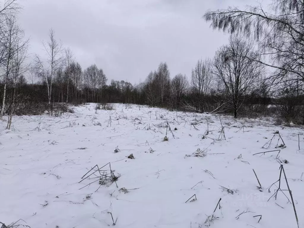 Участок в Московская область, Лотошино муниципальный округ, д. ... - Фото 0
