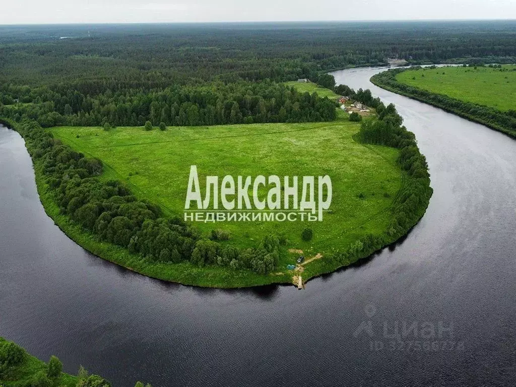 Участок в Ленинградская область, Волховский район, Пашское с/пос, д. ... - Фото 1