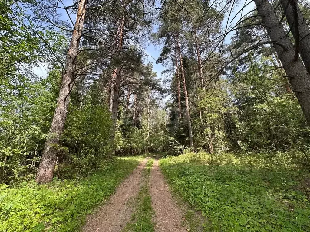 Участок в Московская область, Клин городской округ, д. Владимировка ... - Фото 1