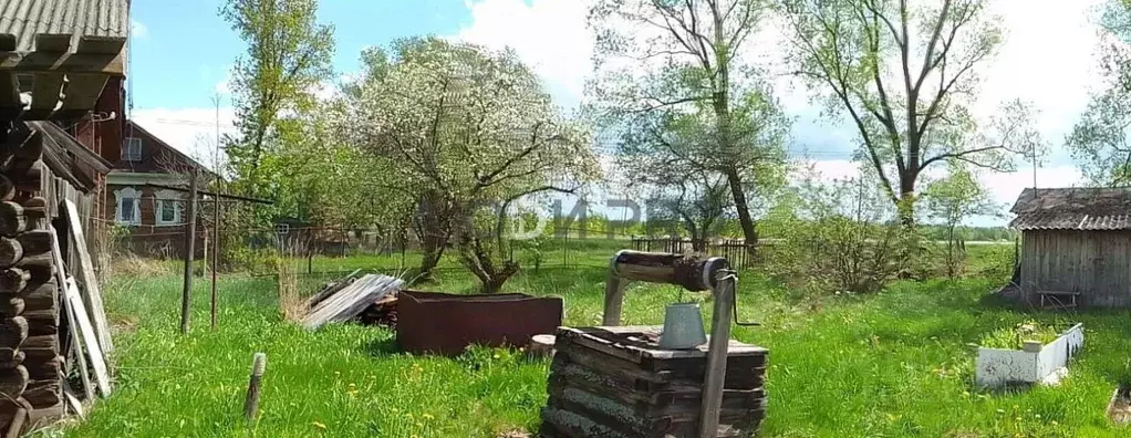 Участок в Ивановская область, Юрьевецкий район, Елнатское с/пос, с. ... - Фото 1