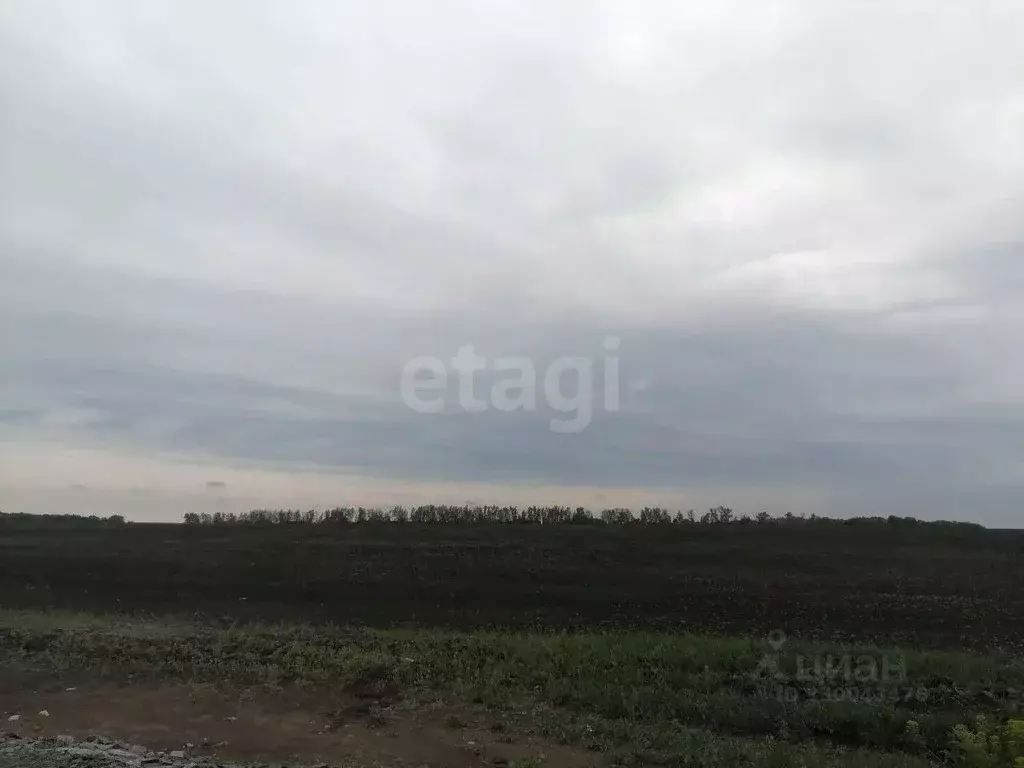 Участок в Белгородская область, Белгородский муниципальный округ, ... - Фото 1