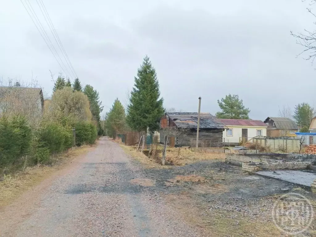 Участок в Ленинградская область, Выборгский район, Рощинское городское ... - Фото 0