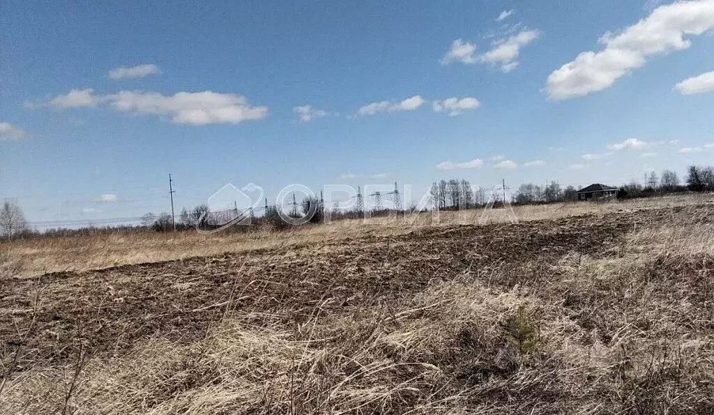 Участок в Тюменская область, Тюменский муниципальный округ, с. Борки  ... - Фото 1