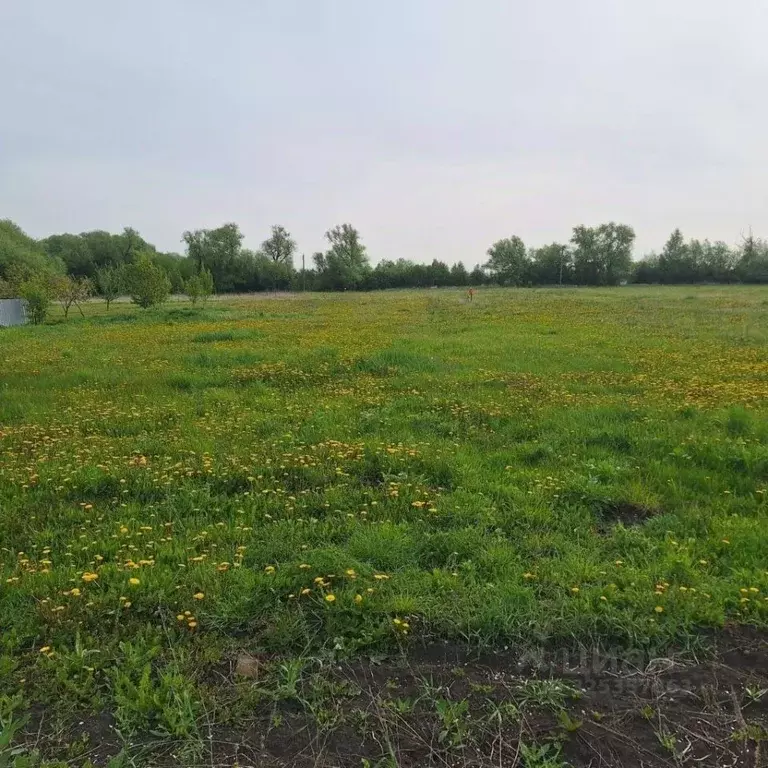 Участок в Тульская область, Веневский муниципальный округ, д. ... - Фото 1