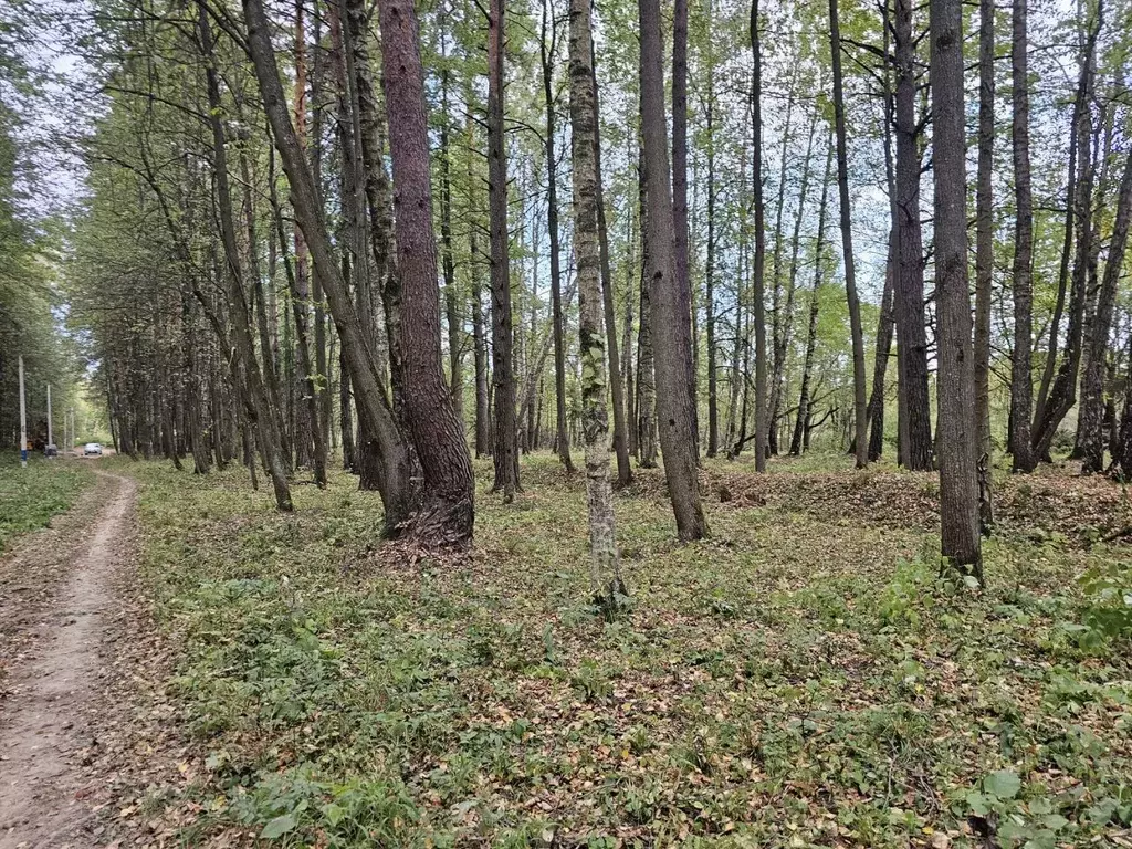 Участок в Московская область, Чехов городской округ, д. Прохорово  ... - Фото 0