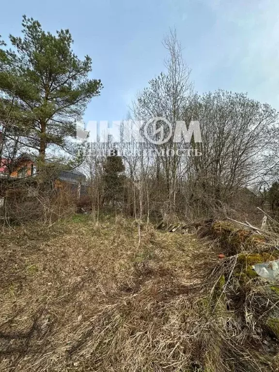 Участок в Москва Дружба-Киевское шоссе 41-й километр СНТ, 40 (8.23 ... - Фото 2