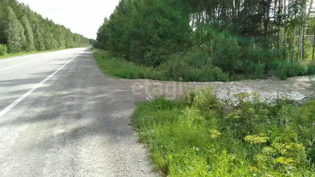 Участок в Свердловская область, Полевской городской округ, с. ... - Фото 1