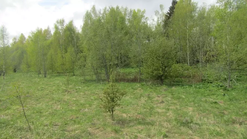 Участок в Московская область, Рузский муниципальный округ, д. Барынино ... - Фото 0