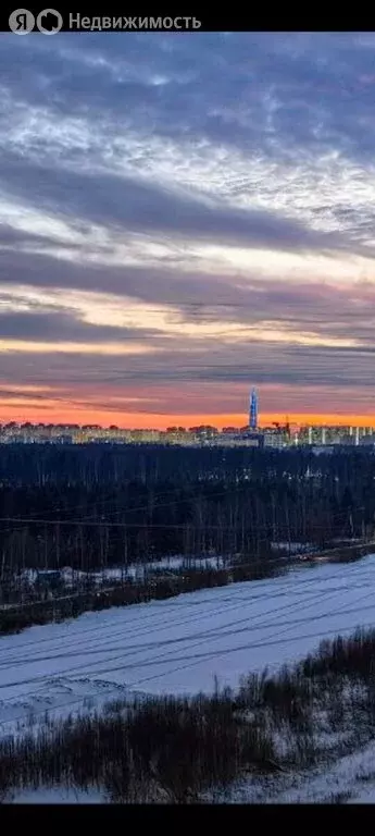 1-комнатная квартира: посёлок Парголово, Михайловская дорога, 6 (34.5 ... - Фото 2