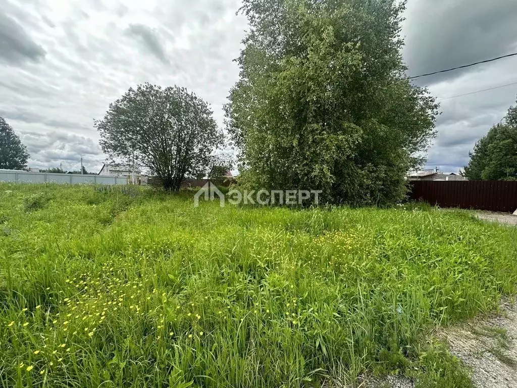 Участок в Московская область, Павлово-Посадский городской округ, д. ... - Фото 1