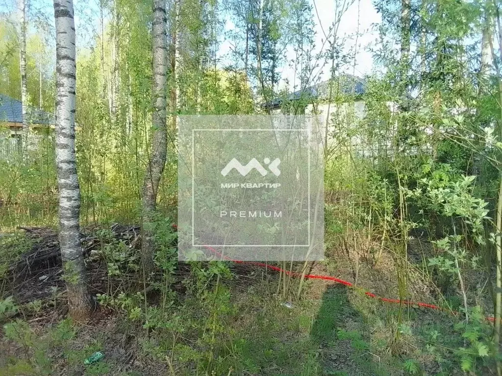 Участок в Ленинградская область, Всеволожск Новая ул., 12А (8.3 сот.) - Фото 1