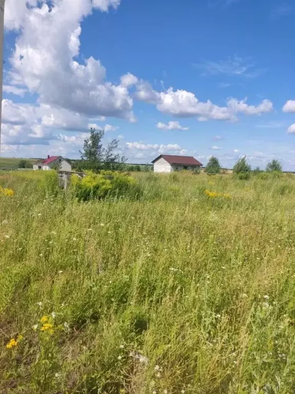 участок в брянская область, брянский район, добрунское с/пос, д. . - Фото 1