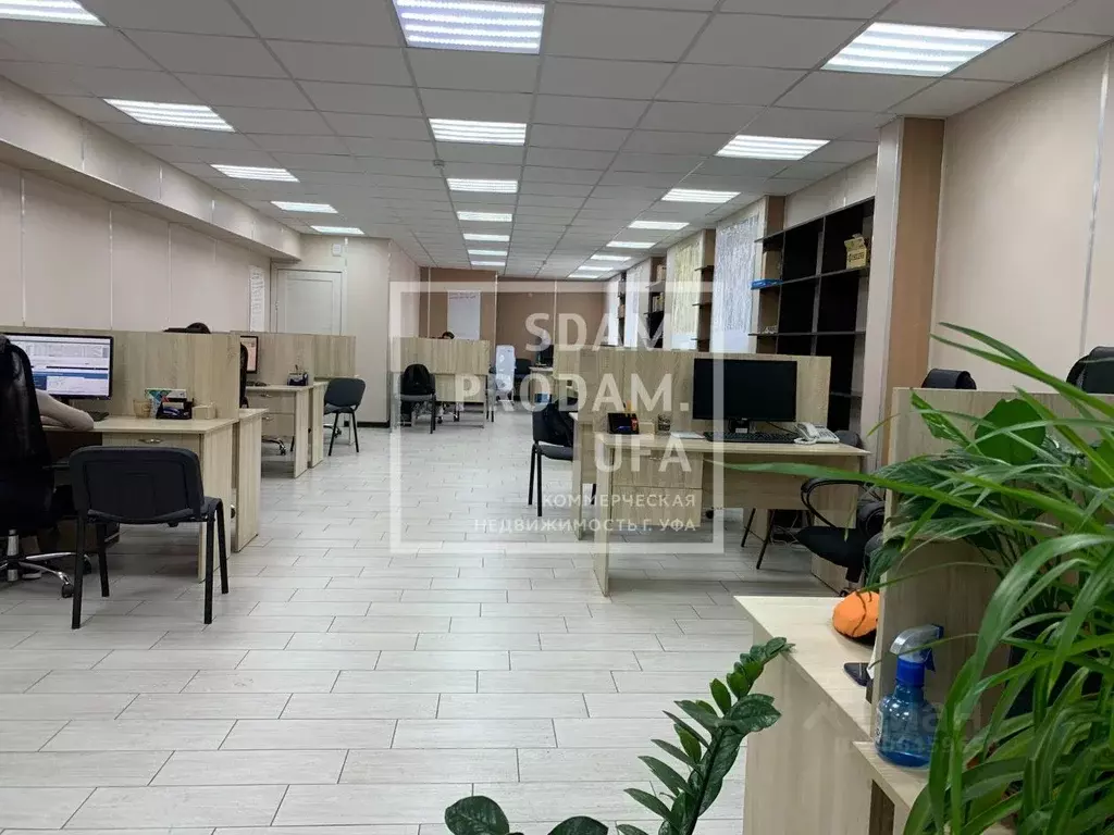 Офис в Башкортостан, Уфа ул. Цюрупы, 17к1 (112 м) - Фото 1