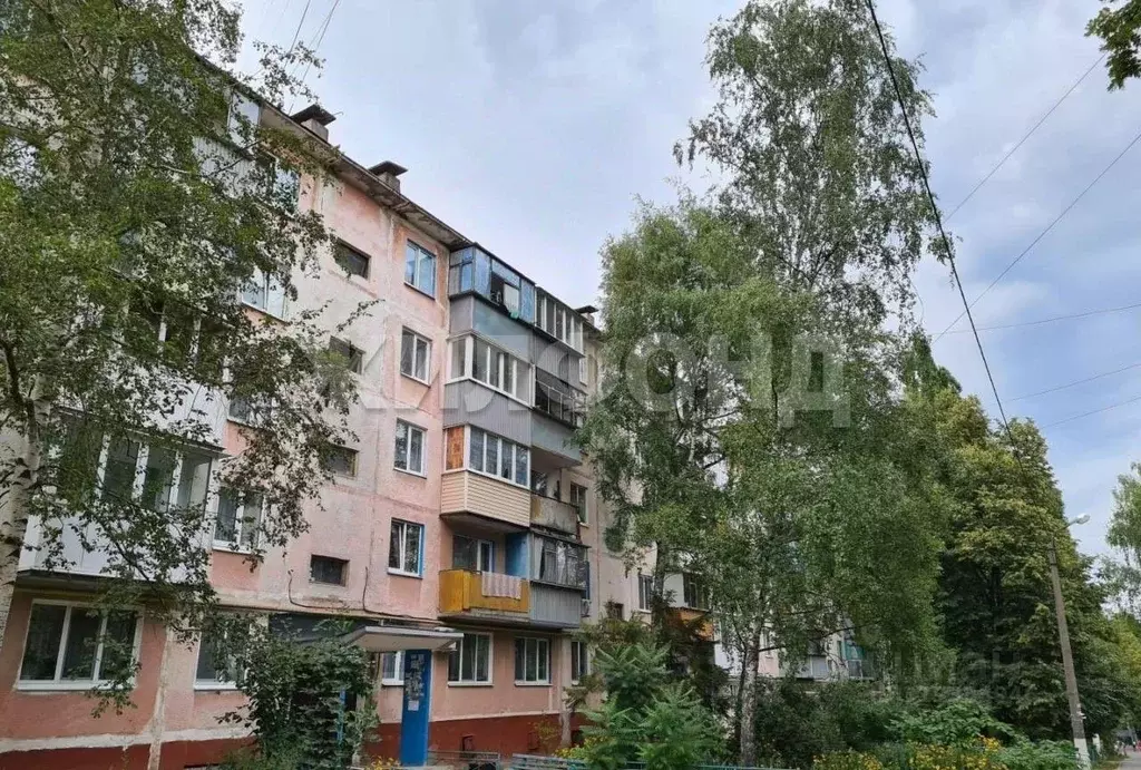 4-к кв. Белгородская область, Белгород ул. Мокроусова, 17А (64.0 м) - Фото 2