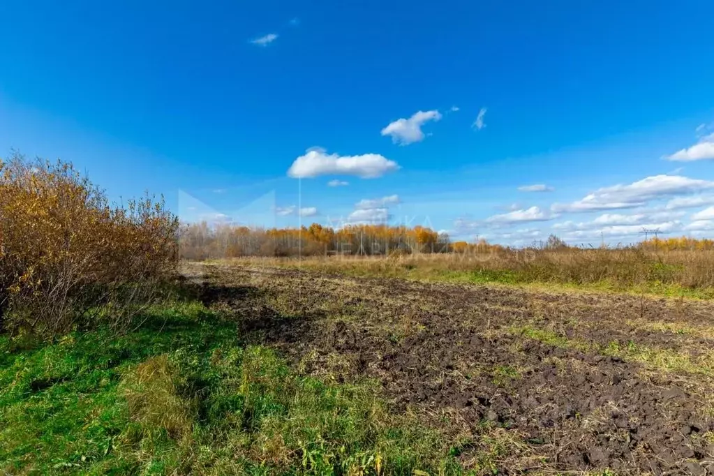 Участок в Тюменская область, Тюменский район, с. Борки  (18.0 сот.) - Фото 0