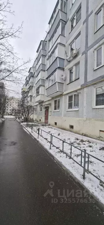 1-к кв. Московская область, Щелково ул. Беляева, 43 (31.0 м) - Фото 2