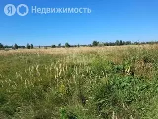 Участок в Луговское сельское поселение, посёлок Песчаный (6 м) - Фото 0