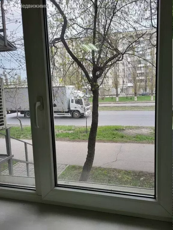 Офис (16.5 м) - Фото 2
