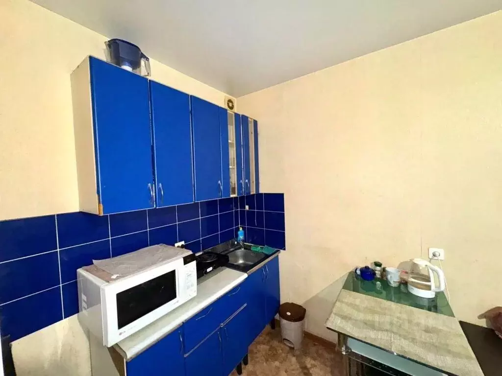 Студия Амурская область, Благовещенск Батарейная ул., 7/1 (27.9 м) - Фото 1