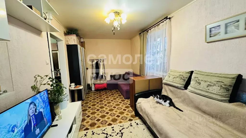 1-к кв. Московская область, Щелково ул. Насосного Завода, 6А (31.7 м) - Фото 2