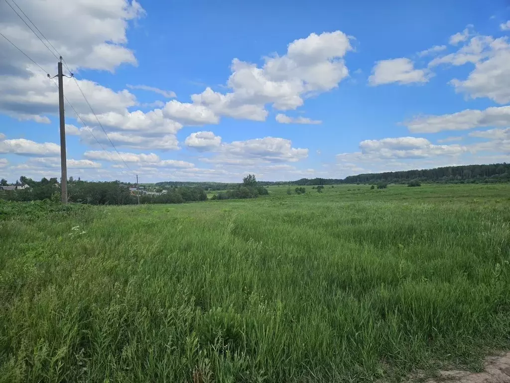 Участок в Ленинградская область, Тосно г. Тосненский район, Тосненское ... - Фото 0
