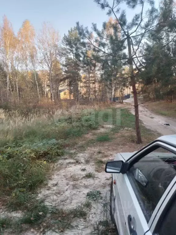 Участок в Нижегородская область, Нижний Новгород пос. Березовая Пойма, ... - Фото 2