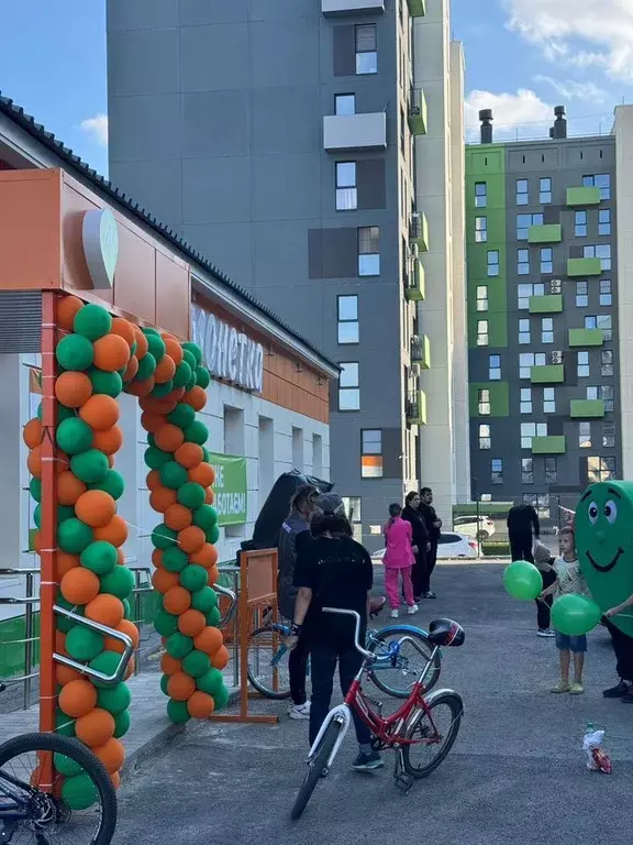 Помещение свободного назначения в Челябинская область, Челябинск ул. ... - Фото 2