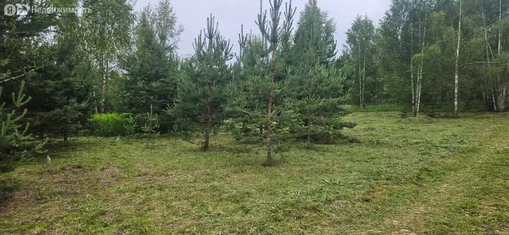 Участок в Савинское сельское поселение, деревня Рышево (11.6 м) - Фото 1