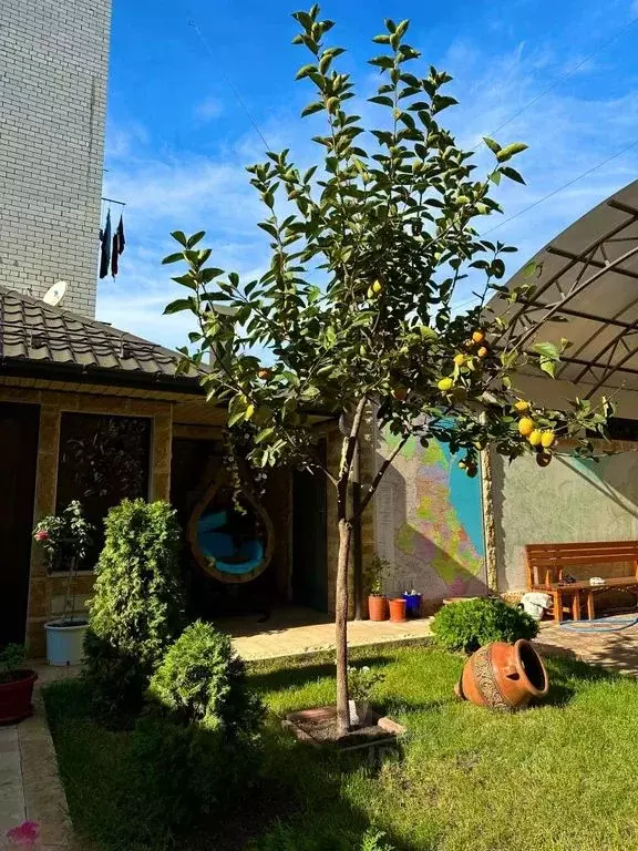 Дом в Дагестан, Каспийск ул. Алферова, 12Б (65 м) - Фото 1