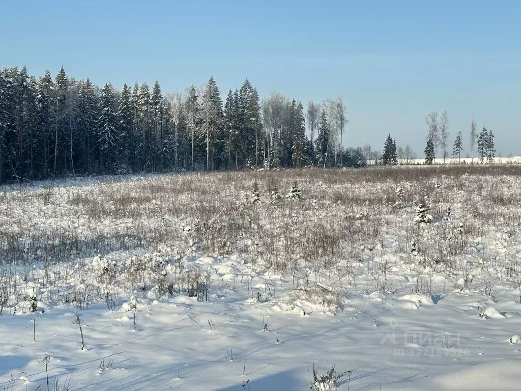 Участок в Московская область, Клин городской округ, Даско садовое ... - Фото 0