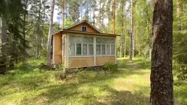 Участок 25 сот. (ИЖС) - Фото 1