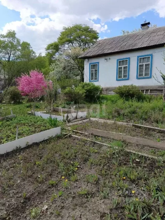 Дом в Приморский край, Дальнегорск Инженерная ул., 26 (76 м) - Фото 1