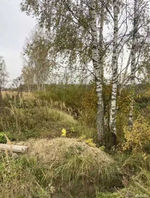 Участок в Московская область, Истра муниципальный округ, д. Загорье  ... - Фото 1