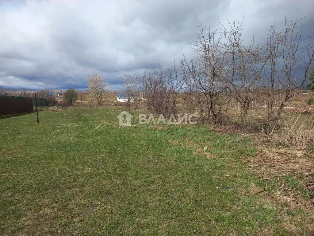 Участок в Нижегородская область, Богородский муниципальный округ, д. ... - Фото 0