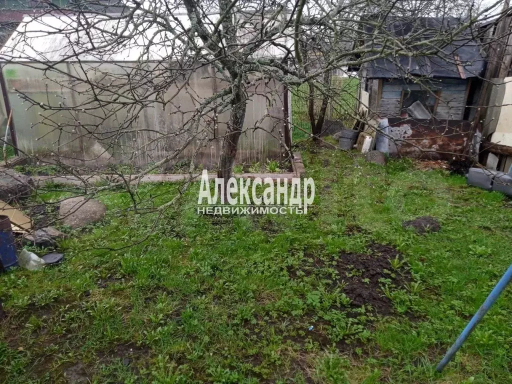 Участок 4,9 сот. (СНТ, ДНП) - Фото 0