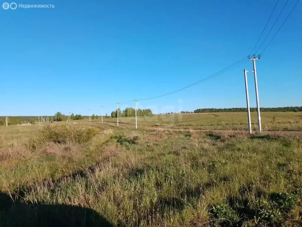 Участок в Кочкуровский район, садовые участки (700 м) - Фото 2