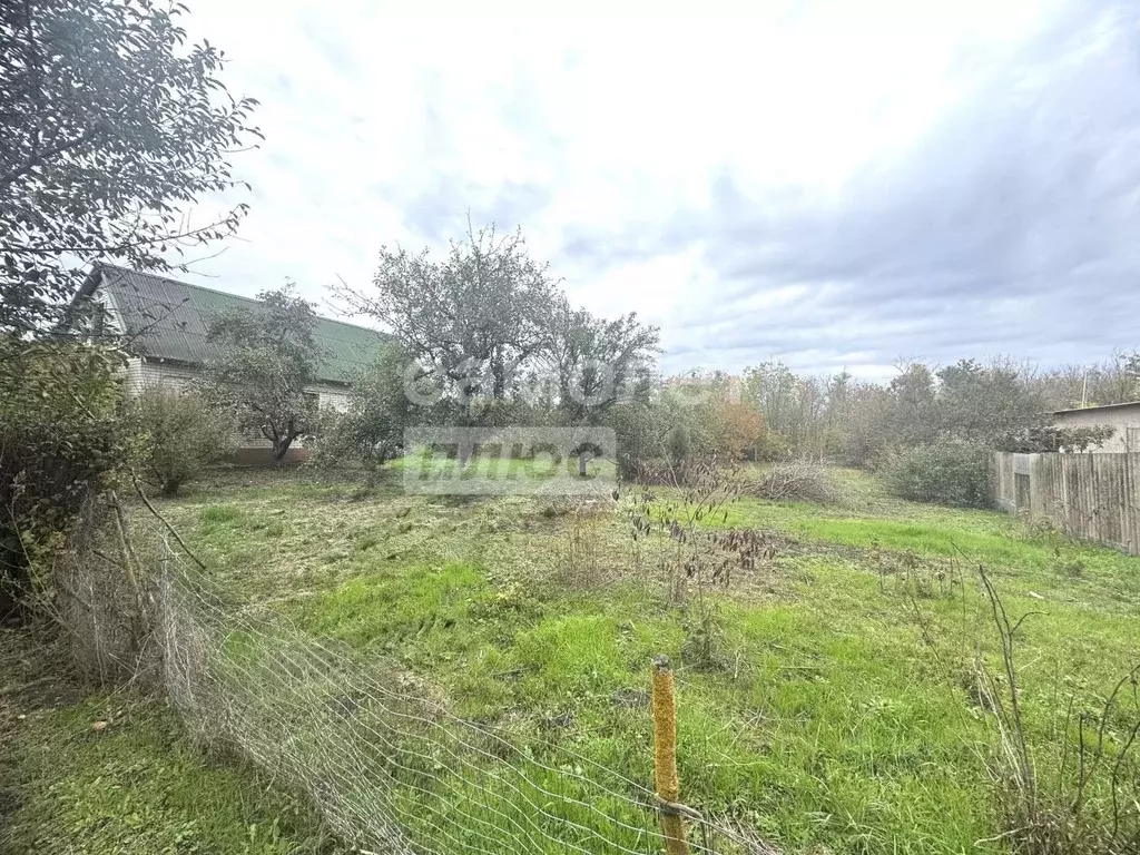 Участок в Краснодарский край, Кореновское городское поселение, пос. ... - Фото 2