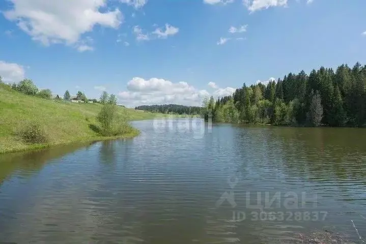 Участок в Пермский край, д. Большакино, 41-й кв-л  (15.0 сот.) - Фото 1