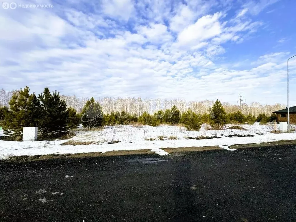 Участок в Тюменский муниципальный округ, село Кулаково (7 м) - Фото 2