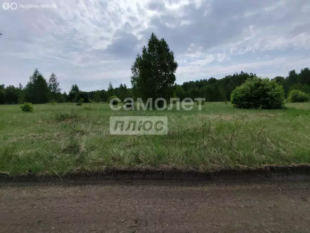 Участок в Челябинская область, Чебаркульский муниципальный округ, ... - Фото 2