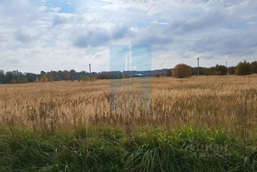 Участок в Московская область, Чехов муниципальный округ, д. Дубровка  ... - Фото 2