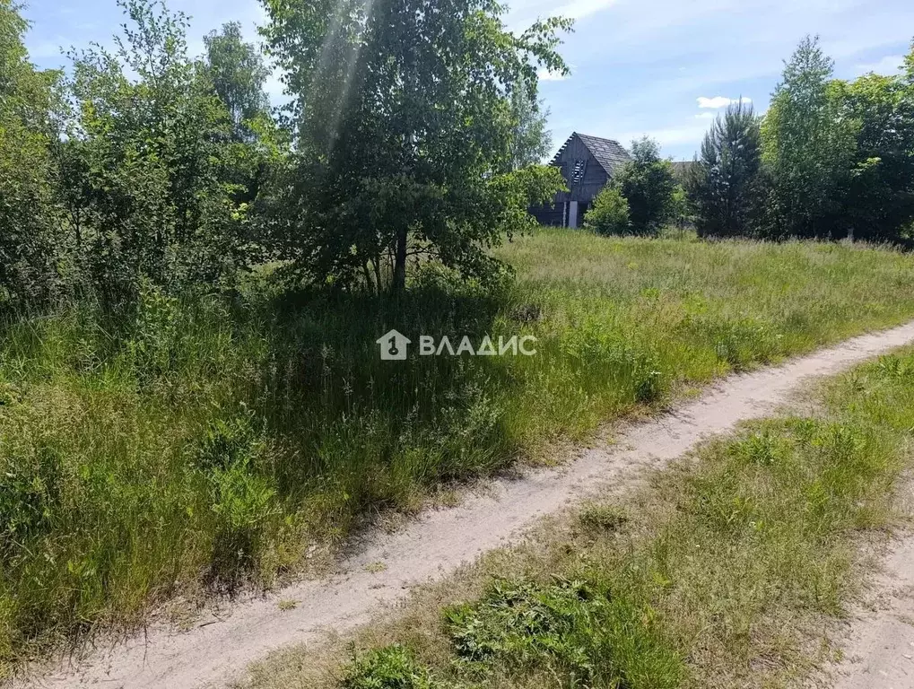 Участок в Владимирская область, Собинский муниципальный округ, д. ... - Фото 2
