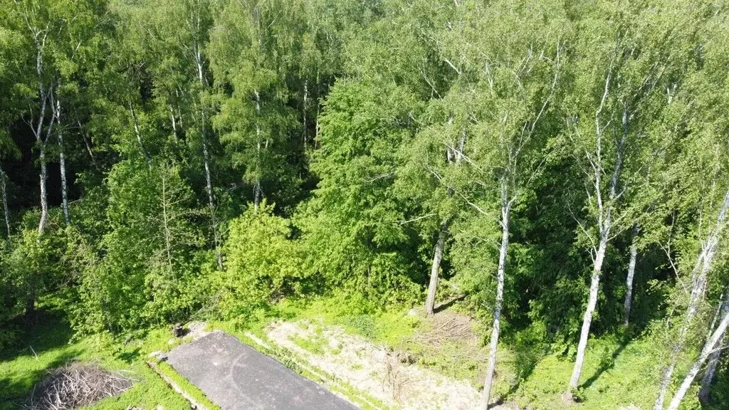 Участок в Московская область, Домодедово городской округ, пос. ... - Фото 2