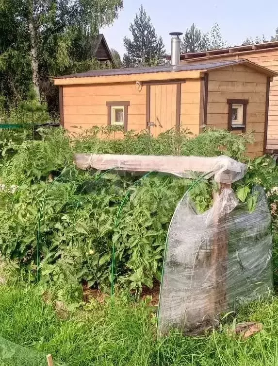 Участок в Вологодская область, Родничок садоводческое товарищество ул. ... - Фото 0
