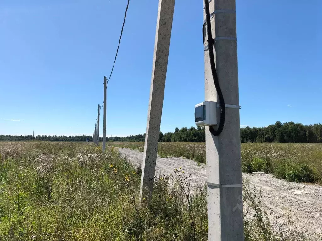 Участок в Тюменская область, Тюменский муниципальный округ, ... - Фото 1