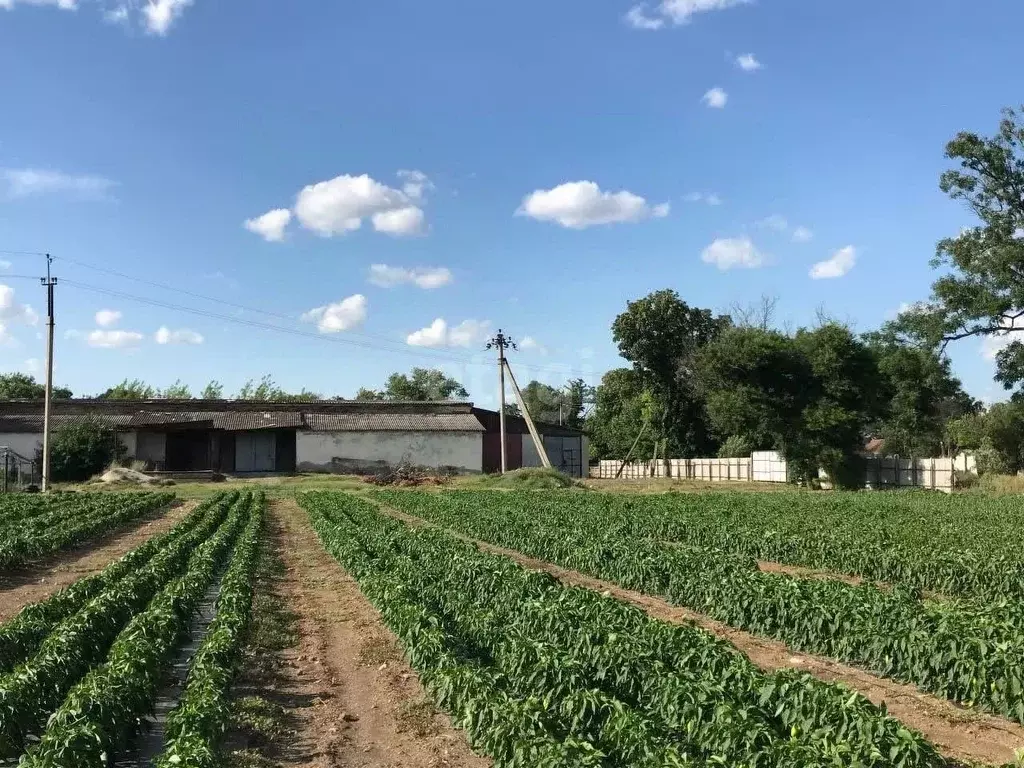 Склад в Крым, Нижнегорский район, с. Дрофино ул. Школьная (822 м) - Фото 2