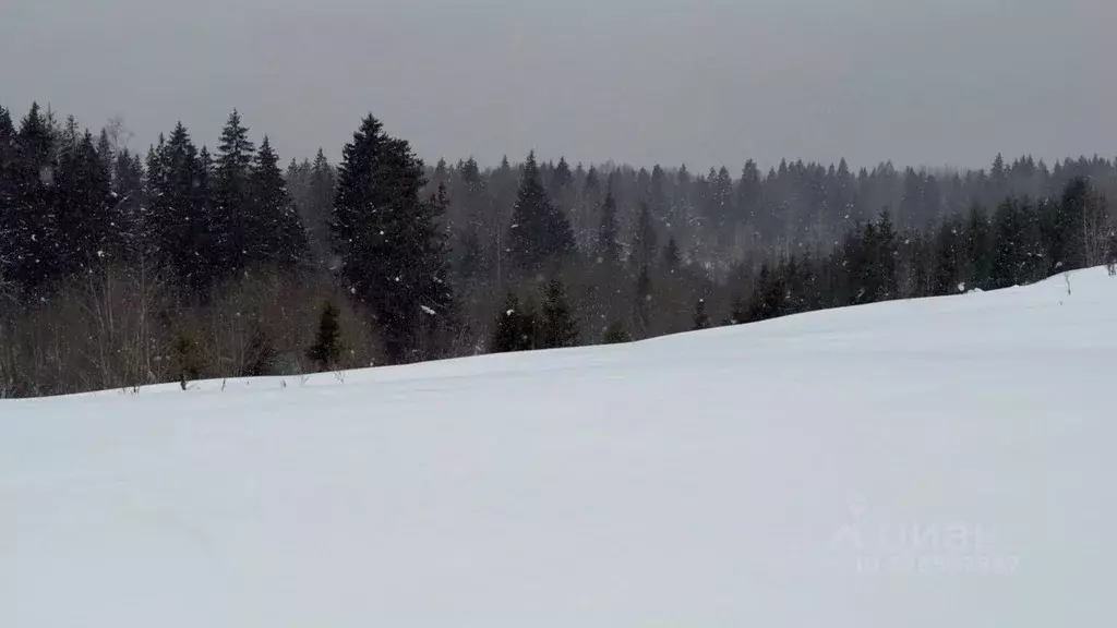 Участок в Московская область, Истра ул. Ленина, Река Истра (8.3 сот.) - Фото 1