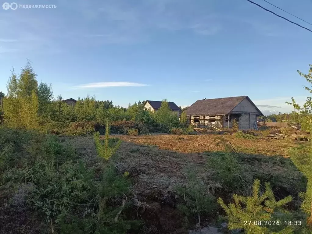 Участок в Сосновый Бор, СНТ Смольнеское, 71 (11 м) - Фото 2
